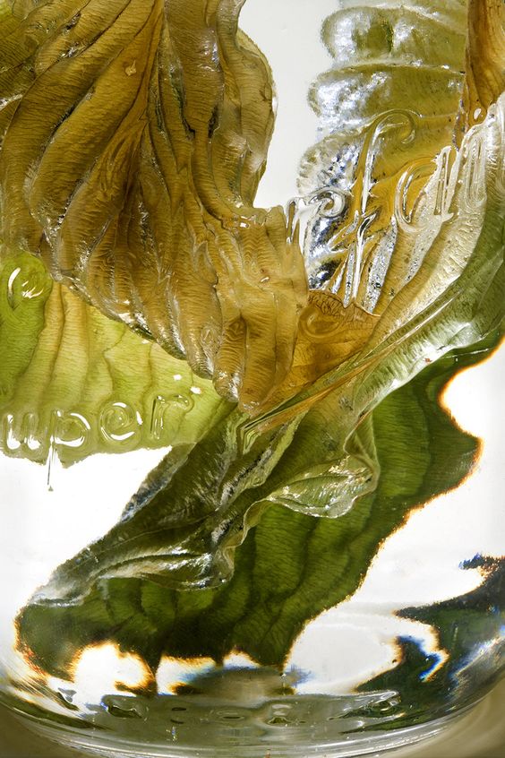 Como a Vitamina B6 e B12 Podem Ajudar-te a Manter o Foco